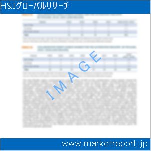 市場と産業調査レポートのイメージ
